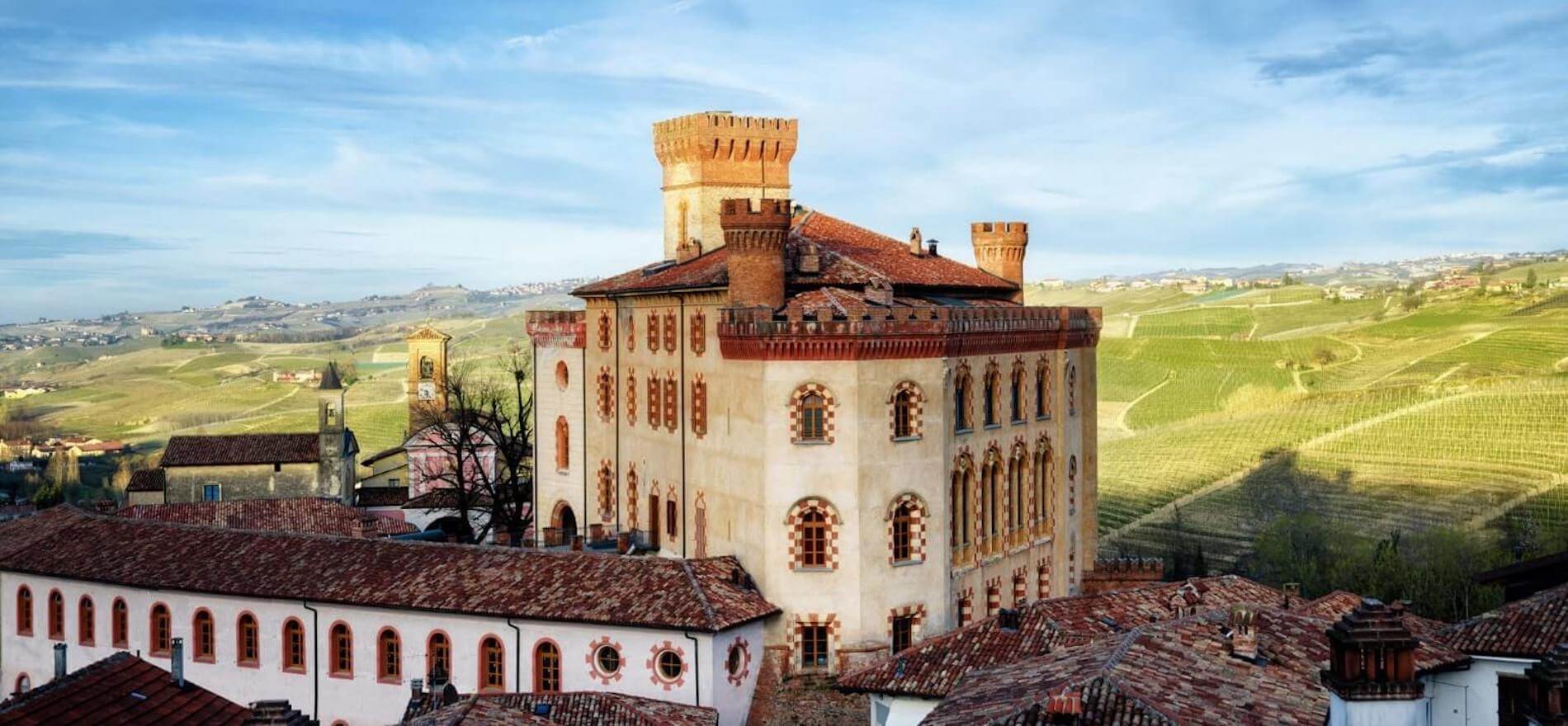 Barolo Castle view